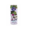 Coconut Juice with Pulp 24x310ml